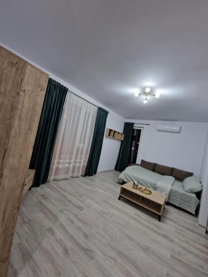 Appartement Apartament Modern Cu O Camera à Timişoara Extérieur photo