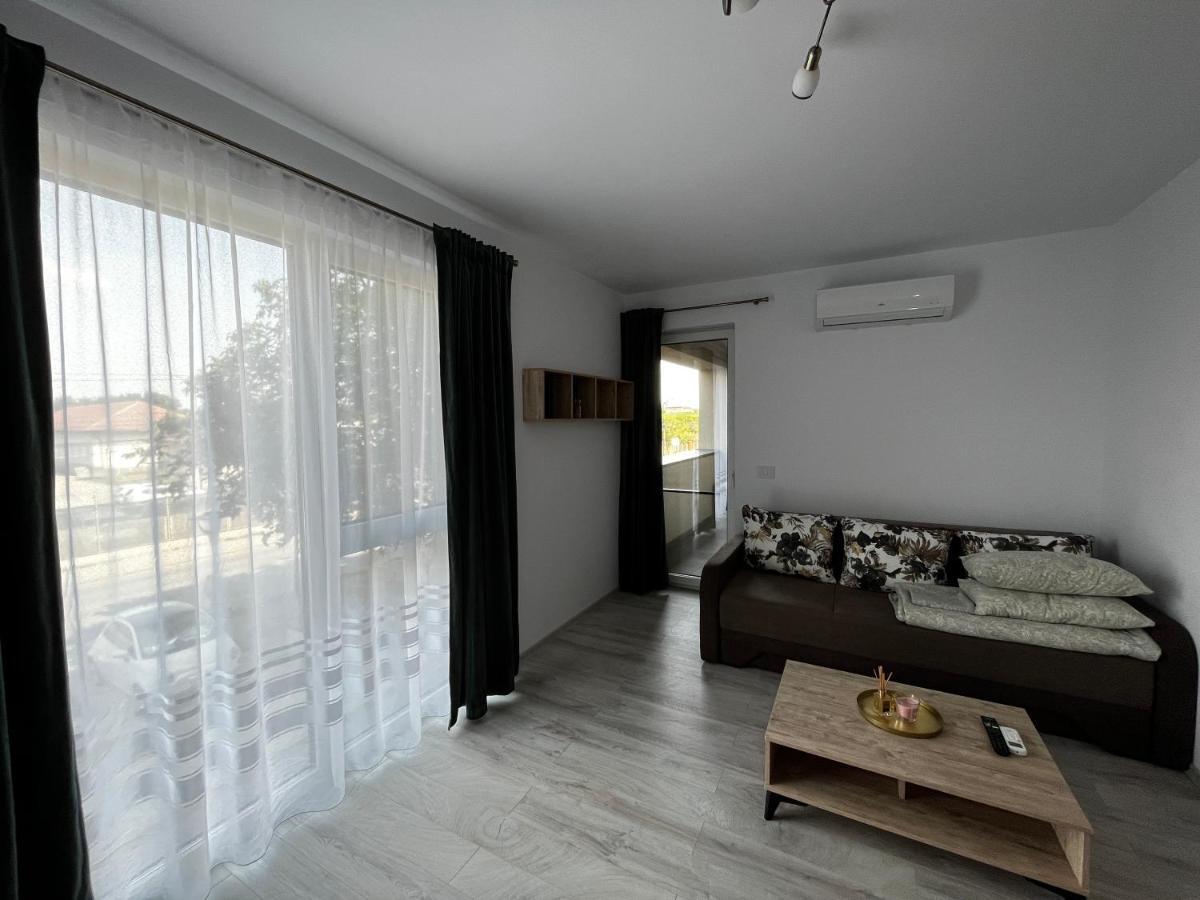 Appartement Apartament Modern Cu O Camera à Timişoara Extérieur photo