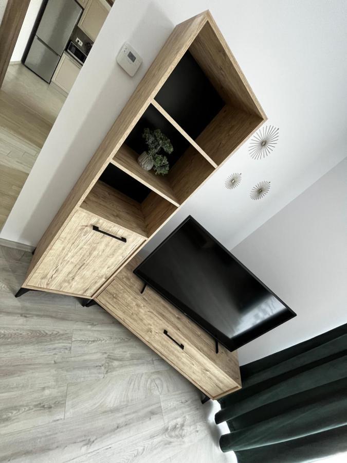 Appartement Apartament Modern Cu O Camera à Timişoara Extérieur photo